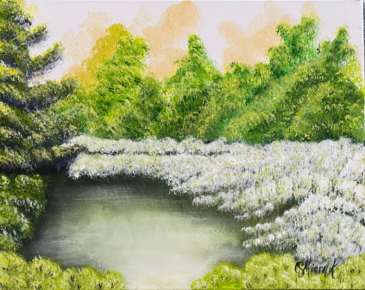 Pond on the Prairie