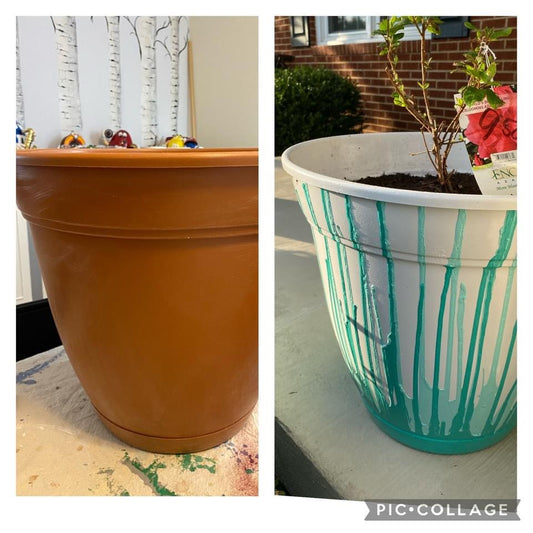 Transformed Planter