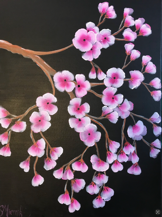 Cherry Blossoms at Night