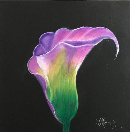 The Calla Lily